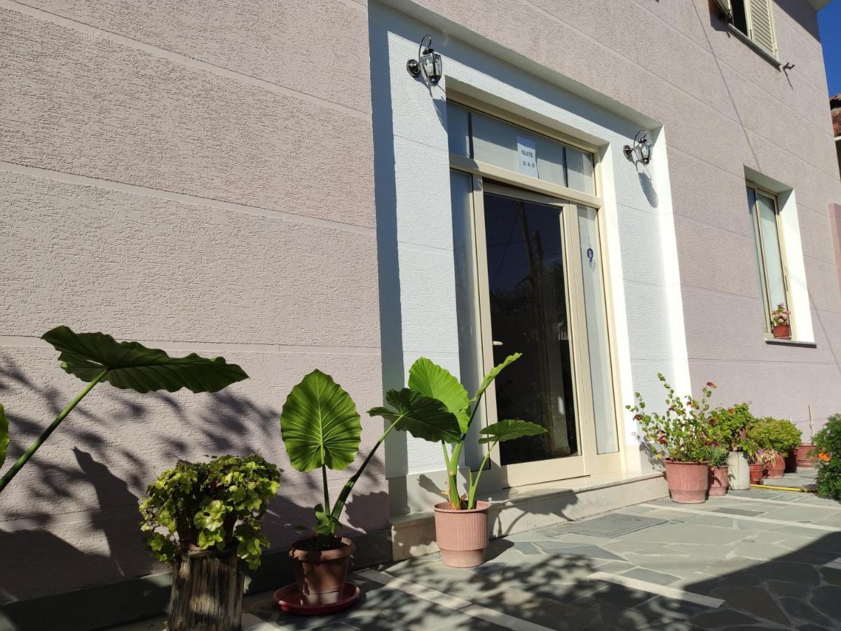 Olive B&B Berat Kültér fotó
